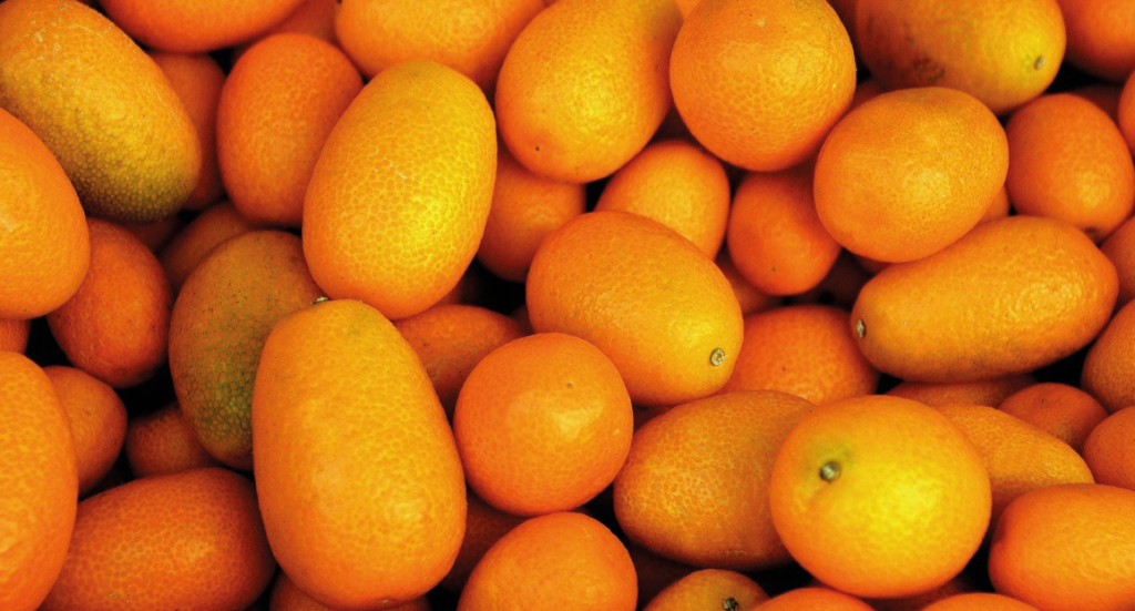 Kumquat, eksotiske citrus frugter, små appelsiner, de små appelsiner kumquat, miniature appelsiner, eksotiske frugter, eksotiske frugter fra Alanya
