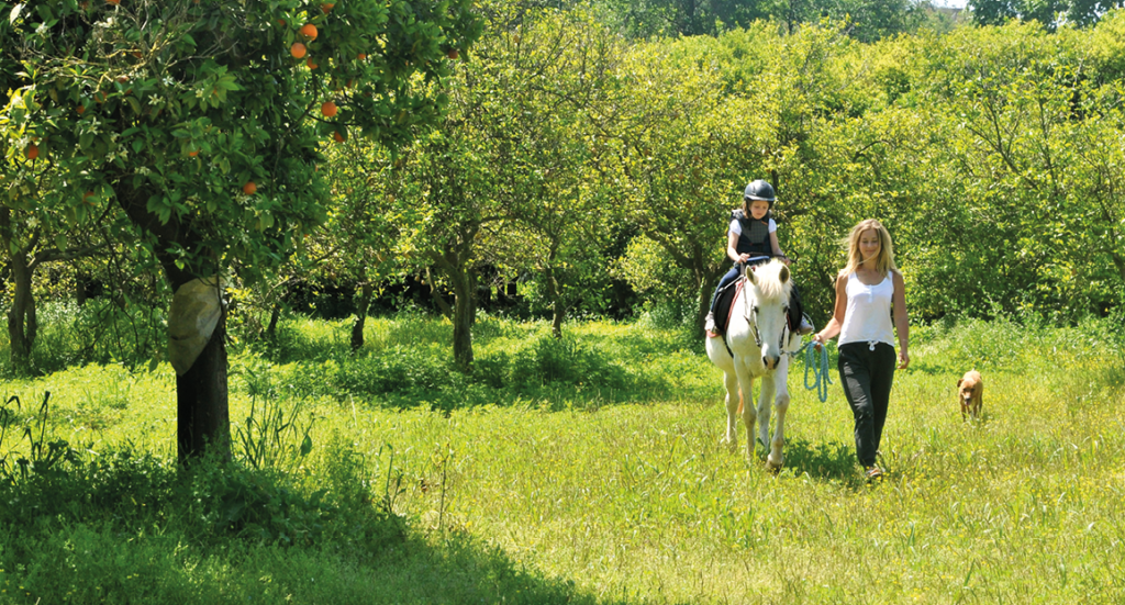Alanya rideskole, horse village alanya, alanya horse village, rideskole tyrkiet, tyrkisk rideskole, rideskole oba, oba rideskole
