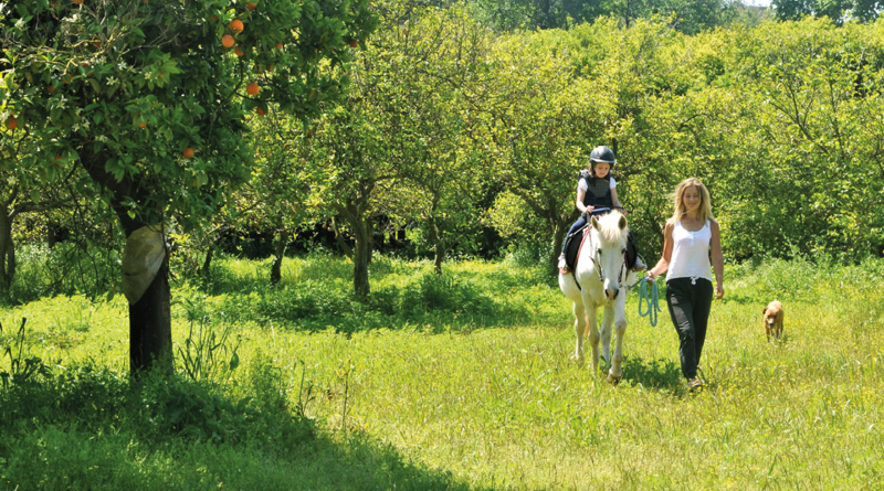 Alanya rideskole, horse village alanya, alanya horse village, rideskole tyrkiet, tyrkisk rideskole, rideskole oba, oba rideskole