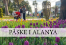 påske i alanya, alanya seværdigheder til påsken, hvad kan man lave i marts i Alanya, Marts seværdigheder i Alanya, påske i Alanya, tulipaner Alanya