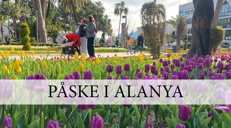 påske i alanya, alanya seværdigheder til påsken, hvad kan man lave i marts i Alanya, Marts seværdigheder i Alanya, påske i Alanya, tulipaner Alanya