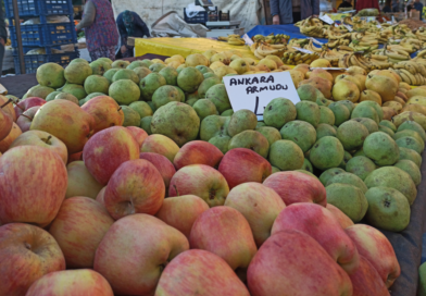 Alanya januar bazar, bazar i januar, markeder i Alanya, Alanya frugt bazar, sæsonen grønt i Tyrkiet, januar i Alanya, vinter i Alanya