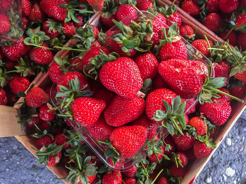 Friske jordbær, jordbær i Tyrkiet, tyrkiske jordbær, bazar i alanya, maj måned bazar i alanya, shopping i Alanya, Alanya shopping,
