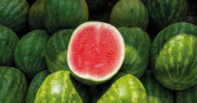 find den bedste vandmelon, vandmelon fra Tyrkiet, vandmelon guide, fakta om Tyrkiet, vandmelon guide, guide til at finde en god vandmelon, bazar alanya, alanya marked, frugt og grønt