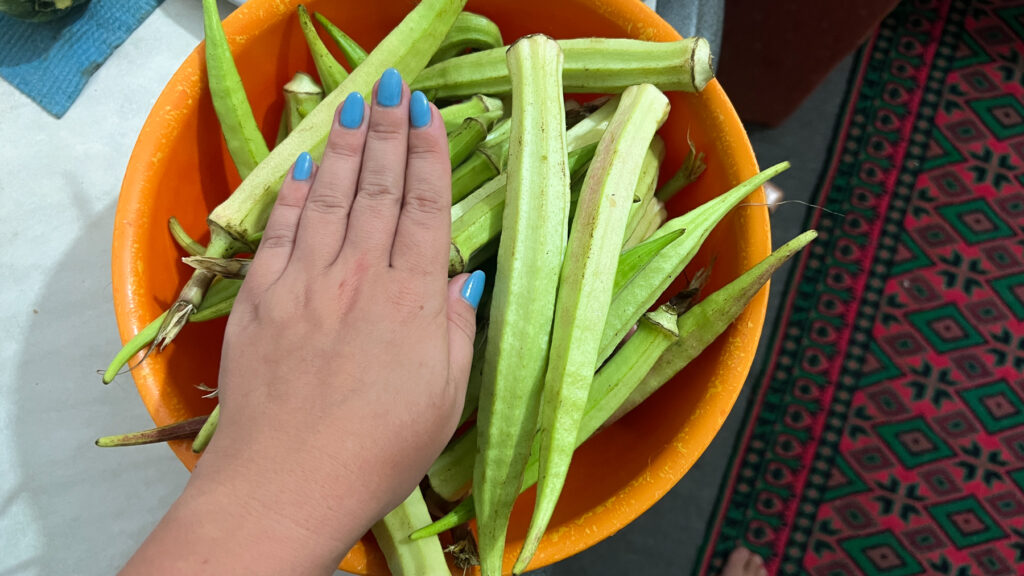 Okra, hvad er okra, hvordan tilbereder man okra, tyrkiske frugter, tyrkiske grøntsager, tyrkisk mad, bazar i Alanya, Bamya, Lady fingers, Ladies fingers, aflang grøn grøntsag med kerner i,