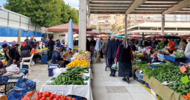 Tirsdagsmarkredet i Alanya, fiskehallerne i Alanya, Alanya bazar, alanya frugt og grøntsagsmarkeder, Alanya februar marked, hvad er på sæson i februar, frugt og grønt fra Alanya, grøntsagsmarkeder i Alanya,