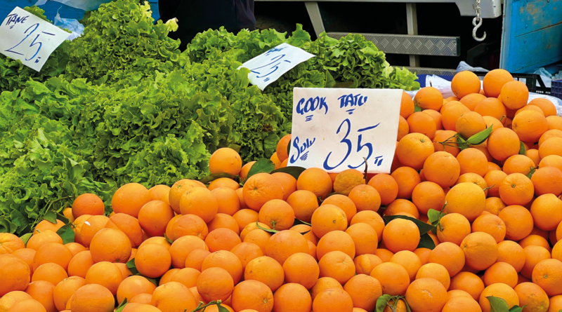 Alanya markeder, frugt og grønt bazar, markeder i Alanya, marked i April, alanya april marked, Alanya i April, Alanya bazar i april, forårsmarked i Alanya, shopping i Tyrkiet, lokale produkter og souvenirs, friske frugter og grøntsager, oplevelser i Alanya, tyrkisk bazarstemning, farverige markedsboder, håndværk og tekstiler i Alanya, forårsshopping i solen, livlig atmosfære i Alanyas gader, krydderier og delikatesser, lokale markeder i Tyrkiet, kultur og handel i Alanya, tyrkisk hverdagsliv og traditioner.