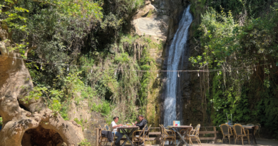 Park Şelale vandfaldet i Alanya, gratis seværdighed i Alanya, naturoplevelse i Alanya, skjult perle i Alanya centrum, oplevelser i Alanya, Alanya vandfald, vandfald i Alanya, seværdigheder i Alanya, Alanya park Selale,